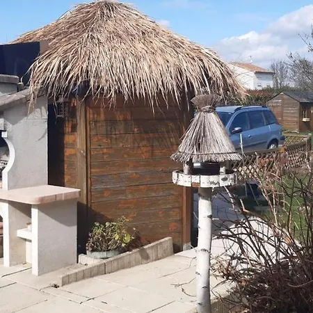 Agapanthe Saint-Georges-les-Baillargeaux