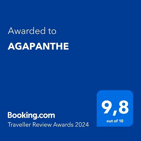 Agapanthe *