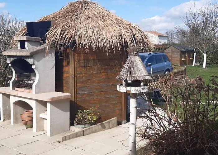 Agapanthe Saint-Georges-les-Baillargeaux