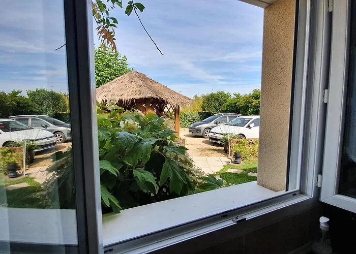 Agapanthe * Saint-Georges-les-Baillargeaux